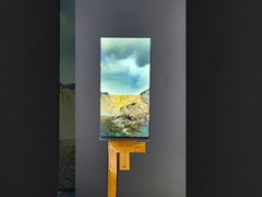 6 дюймов 1080*2160 разрешение LCD tft модуль MIPI интерфейс управления IC HX8399C