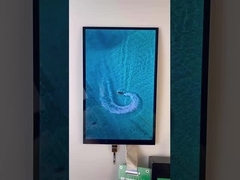 10.1 дюймовый штрих типа TFT дисплей 1200*1920 Разрешение интерфейс MIPI 1000cd/M2