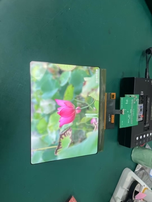 8 inch AMOLED OLED display with touch panel 1860×2480 resolution MIPI interface  430cd/m2 driving IC RM69380